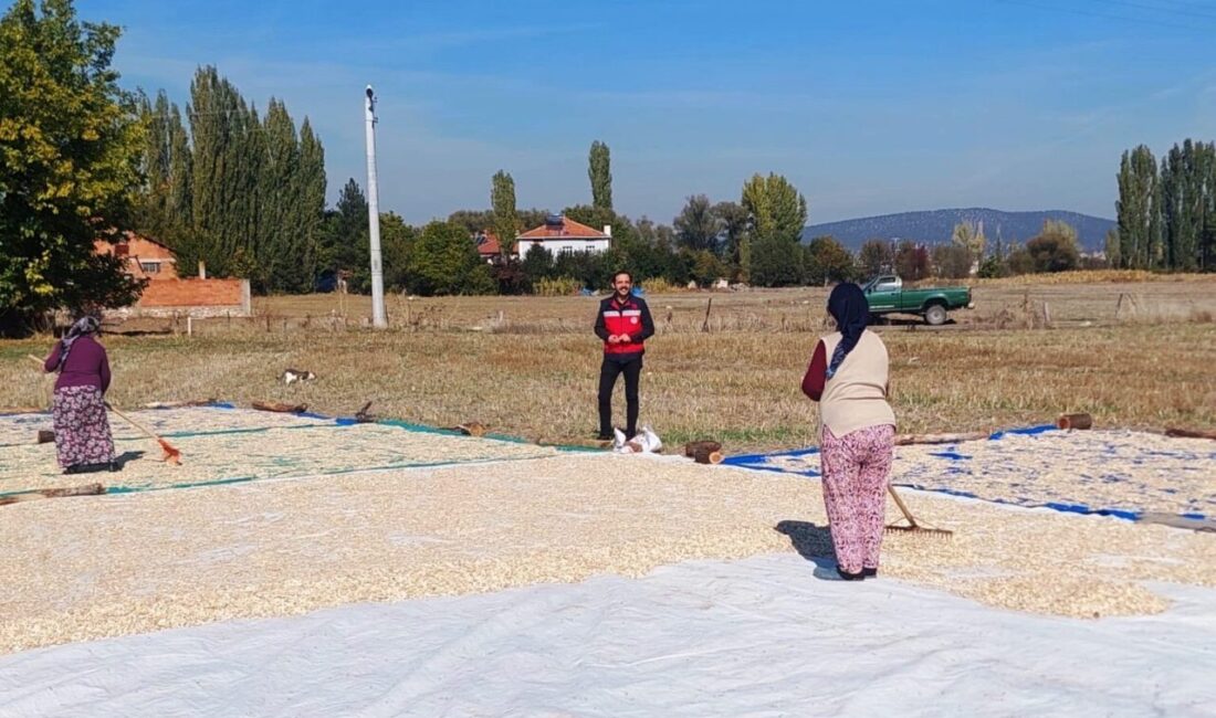 Kütahya’nın Çavdarhisar ilçesi Ağarı Köyü’nde çerezlik kabak hasadının başladığı bildirildi.