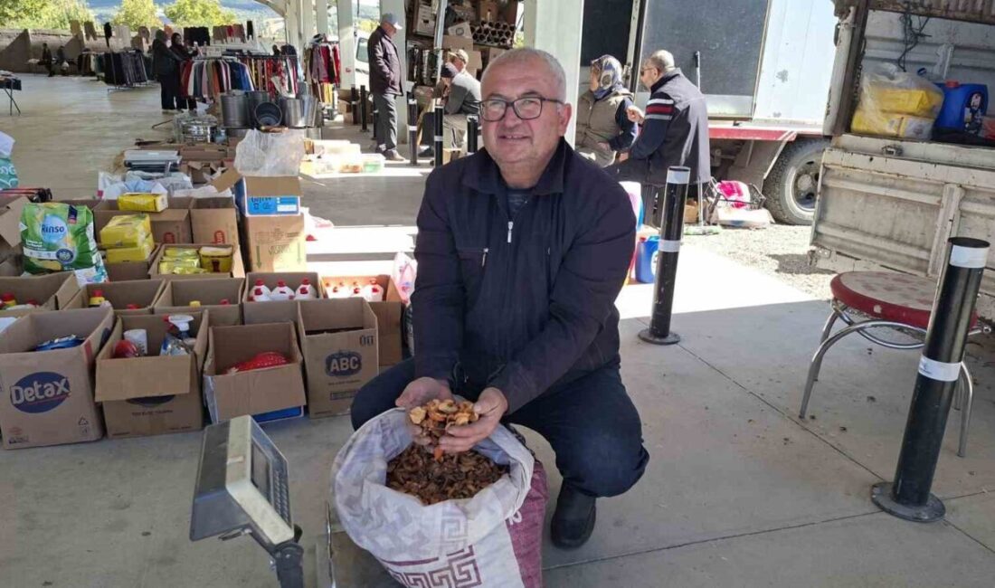 Kütahya’nın Hisarcık ilçesinde geçen yıl 35 TL olan elma kurusu