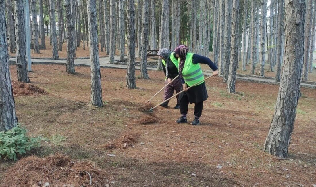 Kütahya’nın Gediz İlçesi’nde vatandaşların yoğun olarak kullandığı parklarda belediye tarafından