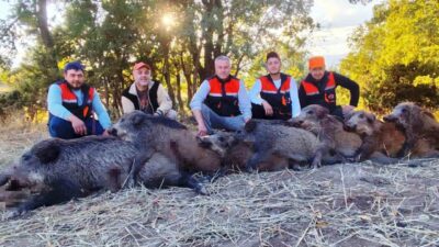 Kütahya’nın Hisarcık ilçesindeki avcılar 6 saatte 7 yaban domuz vurdu.