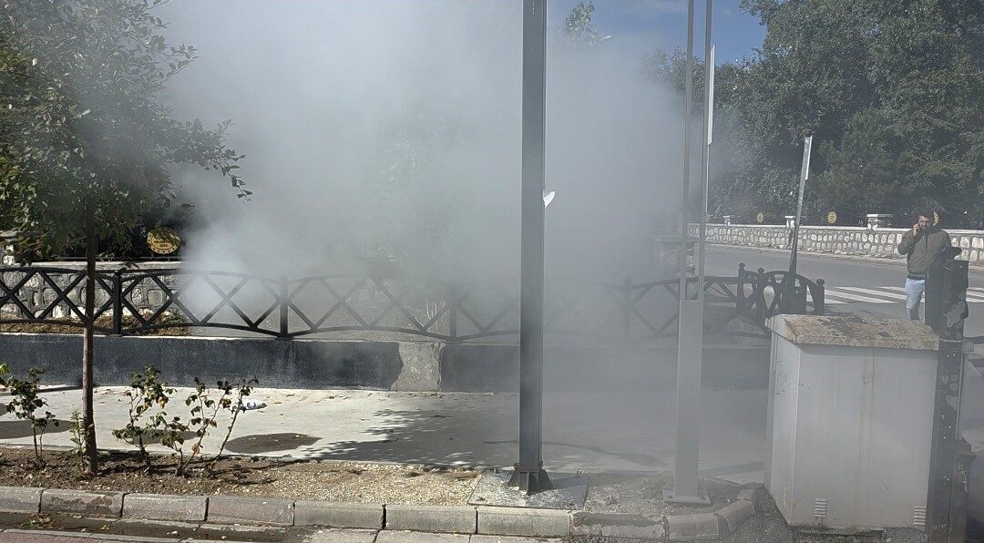 Kütahya’da belediye ekipleri tarafından haşerata karşı yürütülen ilaçlama çalışması, kısa