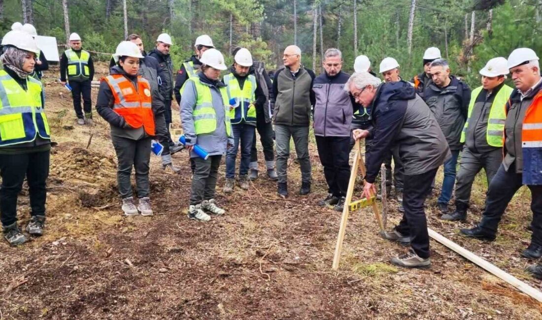 Orman Genel Müdürlüğü Silvikültür Daire Başkanlığı tarafından, Kütahya Orman Bölge