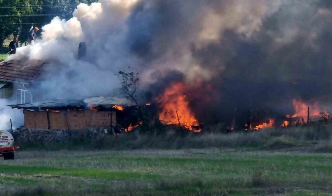 Kütahya’nın Domaniç ilçesine bağlı Muhacırlar köyündeki yangında bir evin odunluğu,