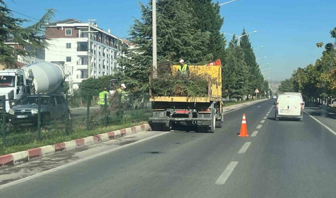 Kütahya’nın Tavşanlı İlçesi’nde şehir merkezine giden çevre yolu üzerinde bulunan