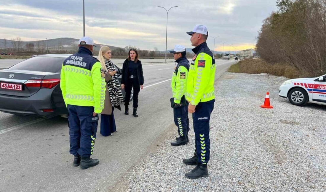 Kütahya’nın Altıntaş İlçe Kaymakamı Ayşegül Yıldırım, yürütülen yol denetimine katıldı.
