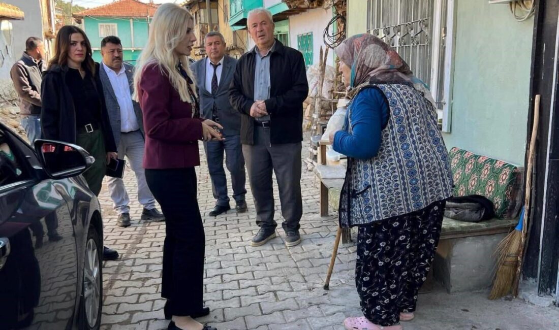 Kütahya’nın Altıntaş Kaymakamı Ayşegül Yıldırım, ziyaretler programı kapsamında Yeşilyurt köyünde