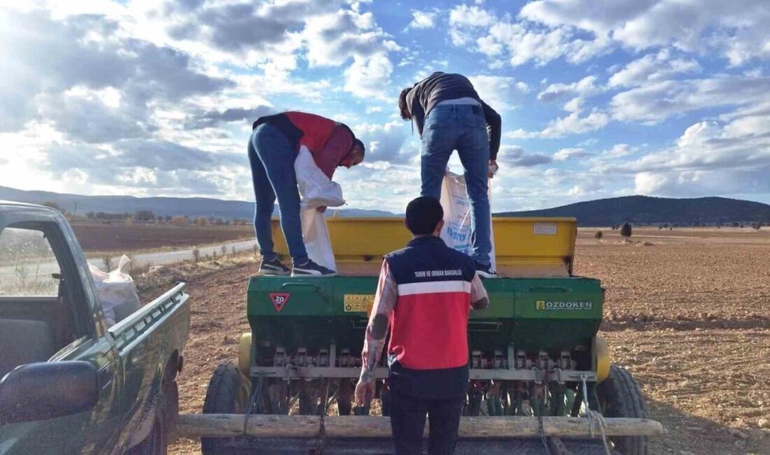 Kütahya’nın Çavdarhisar ilçesinde İlçe Tarım ve Orman Müdürlüğünce demonstrasyon çalışmaları