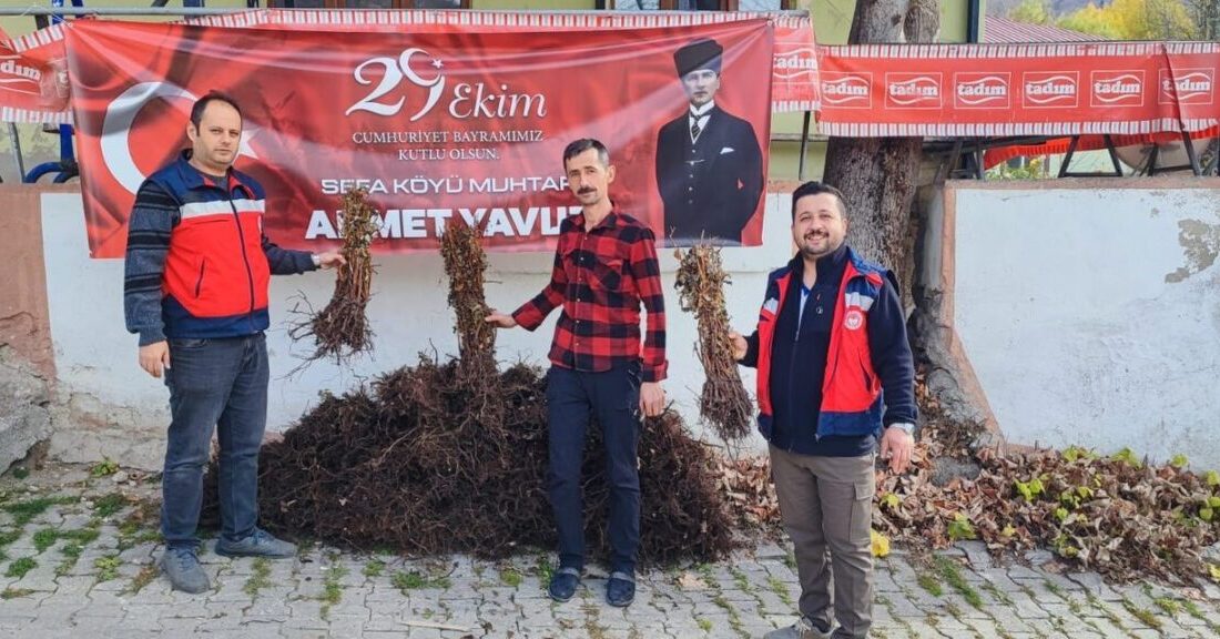Kütahya’nın Domaniç ilçesinde İyi Tarım Uygulamaları kapsamında yürütülen proje ile