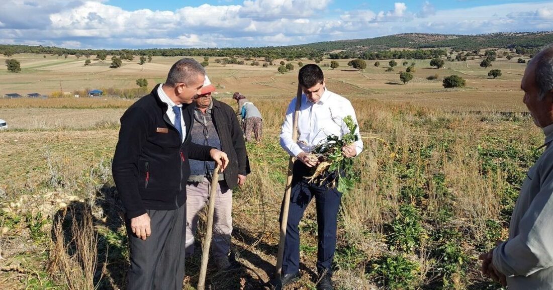 Dumlupınar Kaymakamı Alperen Teltik, ilçeye bağlı Eyidemir Köyü’nde şeker pancarı