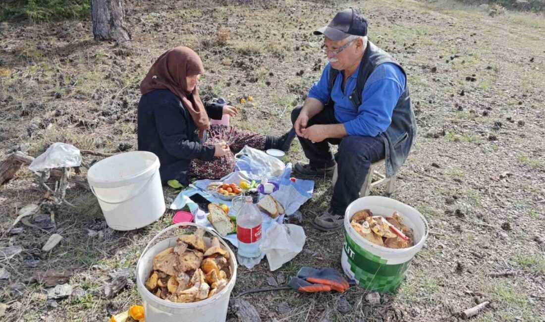 Kütahya’nın Hisarcık ilçesine bağlı Karbasan köyünde yaşayan Gökkaya çifti, günlük