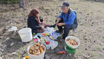 Kütahya’nın Hisarcık ilçesine bağlı Karbasan köyünde yaşayan Gökkaya çifti, günlük
