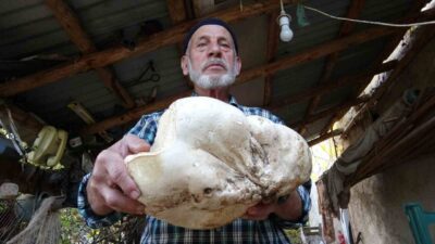 Kütahya’nın Demirciören köyünde yaşayan yaşlı adam, ormanda yaptığı mantar arayışı
