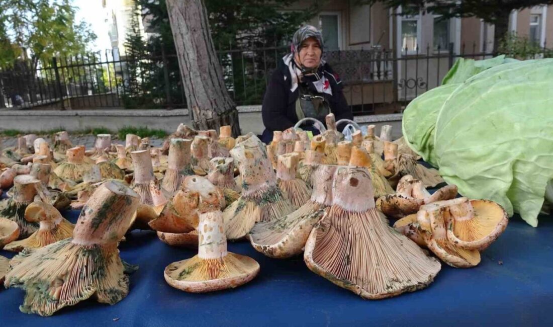 Kütahya’nın Tavşanlı ilçesindeki semt pazarları, güz mevsiminin gözde lezzeti Melki