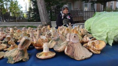 Kütahya’nın Tavşanlı ilçesindeki semt pazarları, güz mevsiminin gözde lezzeti Melki