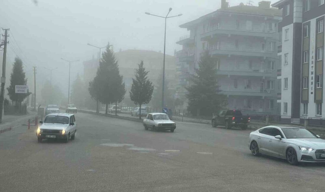 Kütahya’nın Tavşanlı ilçesinde yoğun sis, günlük yaşamı olumsuz etkiliyor. Özellikle