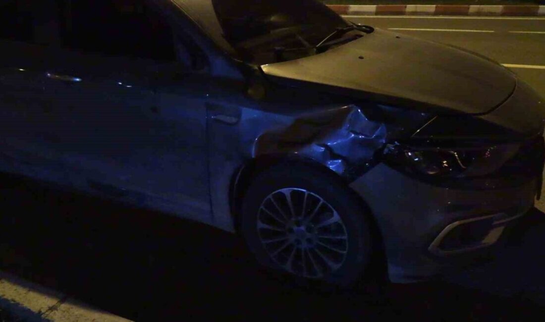 Kütahya’nın Tavşanlı ilçesinde meydana gelen trafik kazasında 76 yaşındaki bir