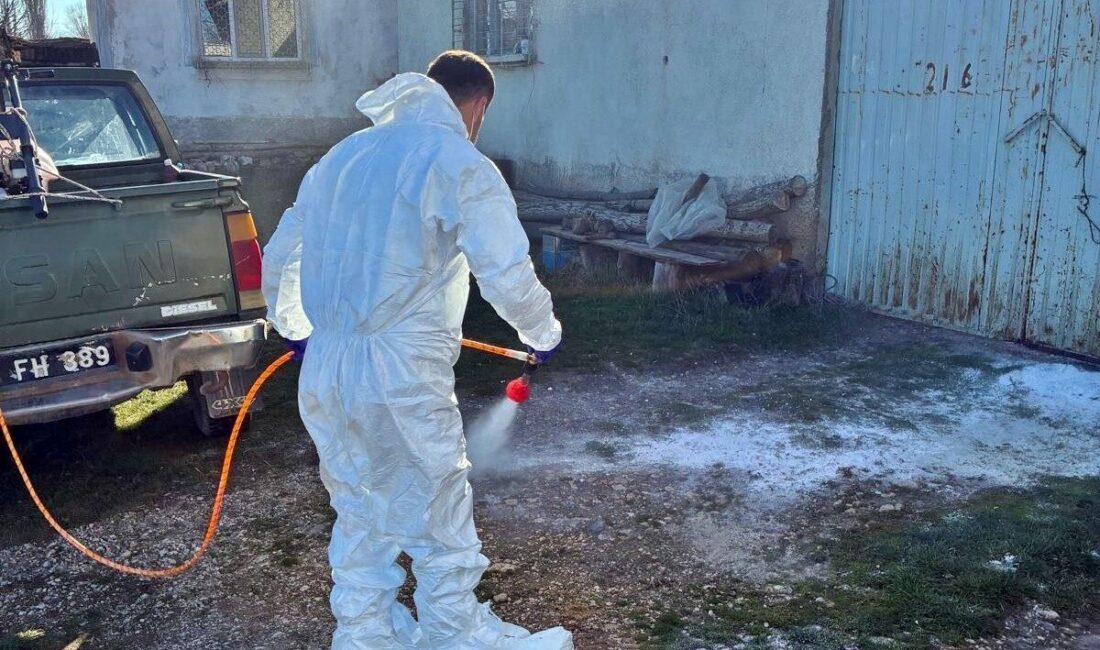 Kütahya’nın Çavdarhisar ilçesinde, İlçe Tarım ve Orman Müdürlüğü tarafından hayvan