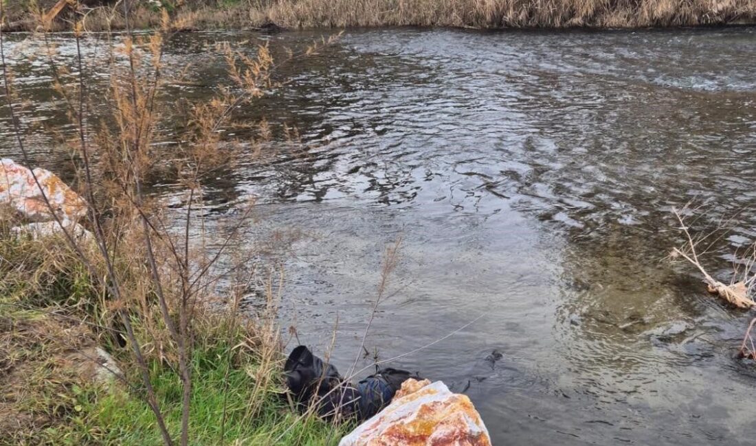 İzmir-Eskişehir seferini yapan Ege Ekspresi yolcu treni, Kütahya’nın Tavşanlı yakınlarındaki