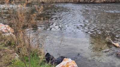 İzmir-Eskişehir seferini yapan Ege Ekspresi yolcu treni, Kütahya’nın Tavşanlı yakınlarındaki