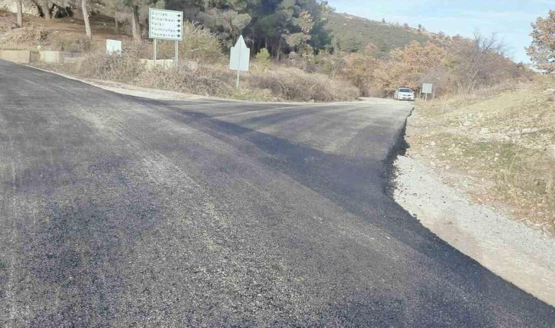 Kütahya’nın Gediz ilçesine bağlı Gürlek Köyü ile Çeltikçi Köyü arasında