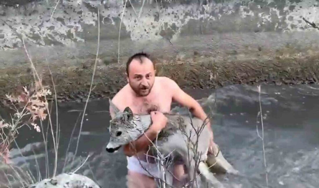 Kütahya’nın Gediz ilçesine bağlı Kayaköy’de hayvan severler, Hidroelektrik Santrali’ne su