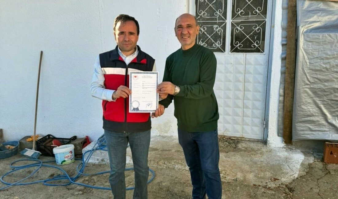 Kütahya’nın Simav ilçesindeki 12 bin tavuk kapasiteli işletmeye yumurta paketleme