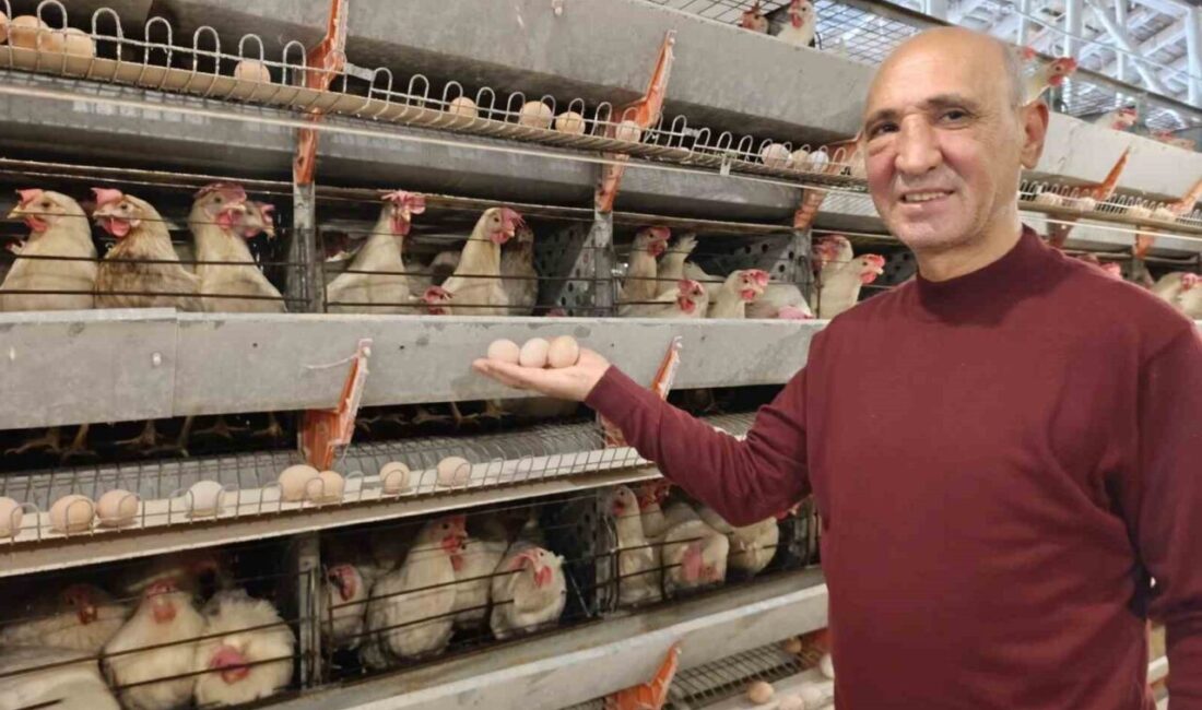 Kütahya’nın Simav ilçesine bağlı Kuşu beldesinde, iş insanı İsmail Çetiner