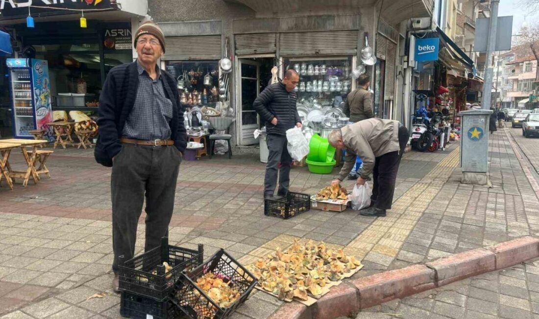 Kütahya’nın Tavşanlı ilçesinde halk arasında “Melki” olarak bilinen Kanlıca mantarı,