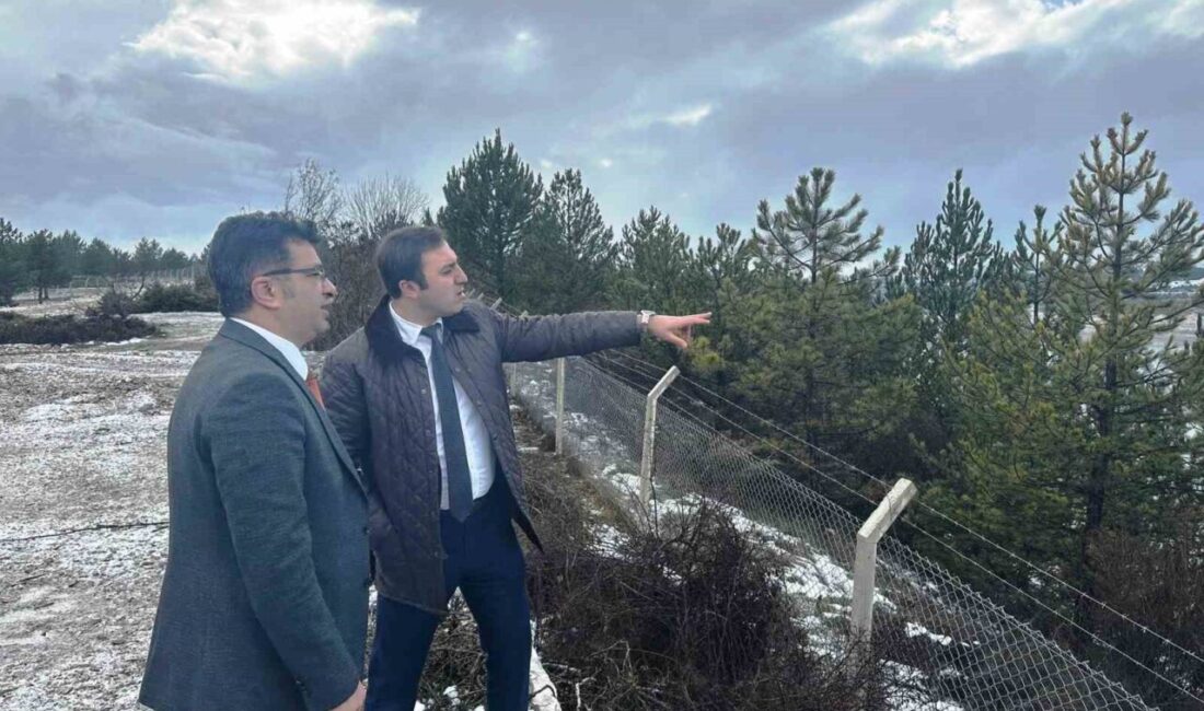 Kütahya Gençlik ve Spor İl Müdürü Bülent Küçük, Çavdarhisar Kaymakamı