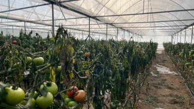 Kütahya’nın Simav ilçesinde hava sıcaklıklarının eksi 15 dereceye kadar düşmesi