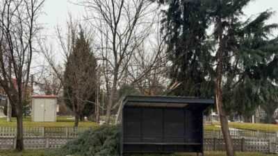 Kütahya’nın Tavşanlı ilçesinde etkili olan şiddetli rüzgar nedeniyle bir ağaç