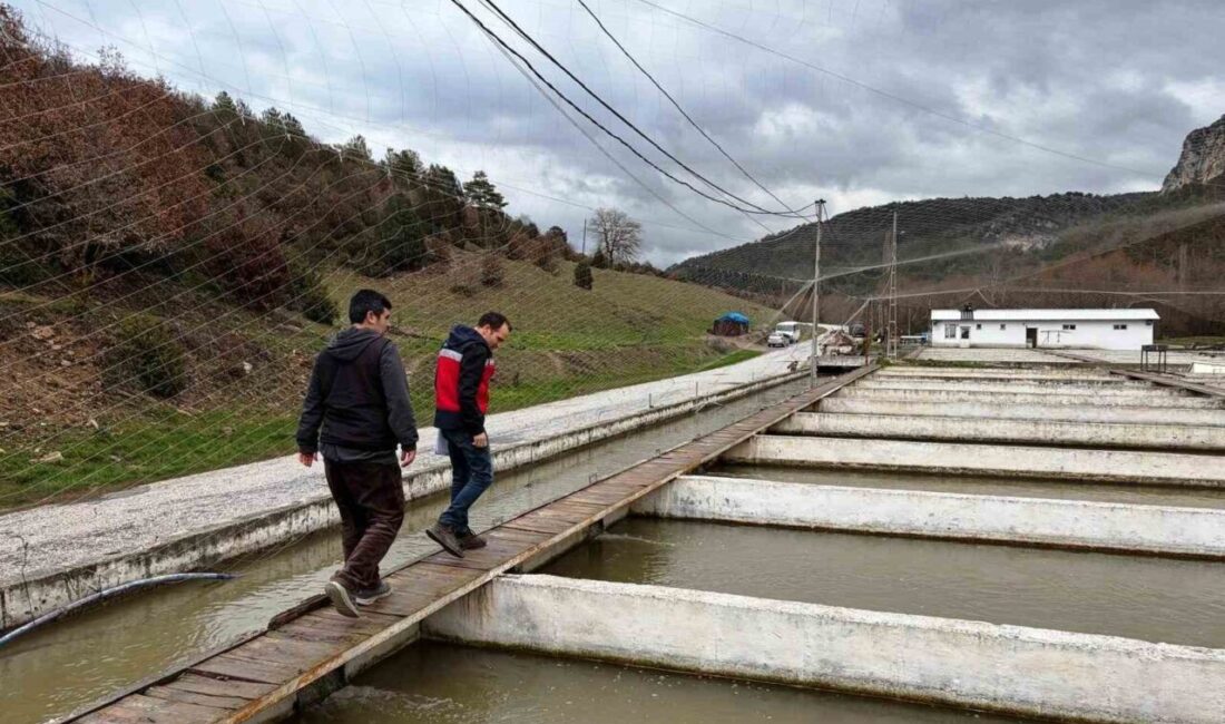 Kütahya’nın Çavdarhisar ilçesinde İlçe Tarım ve Orman Müdürlüğü ekipleri tarafından