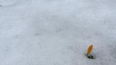 Kütahya’nın Simav ilçesine 20 kilometre uzaklıkta bulunan, bin 450 rakımlı