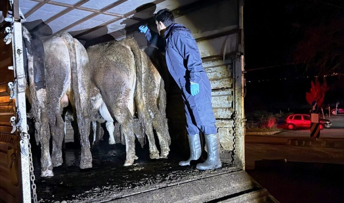 Simav İlçe Tarım ve Orman Müdürlüğü ile İlçe Jandarma Komutanlığı