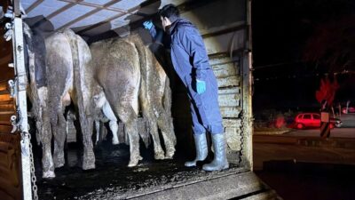 Simav İlçe Tarım ve Orman Müdürlüğü ile İlçe Jandarma Komutanlığı