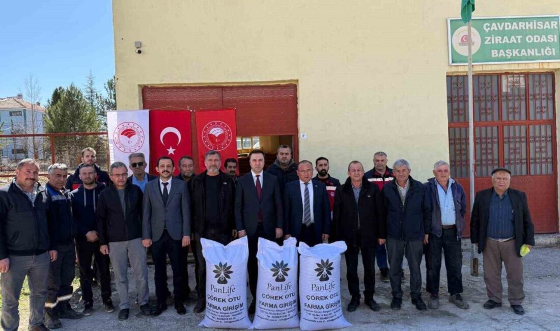 Kütahya’nın Çavdarhisar ilçesinde çiftçilere yönelik çörek otu tohumu dağıtımı gerçekleştirildi.
