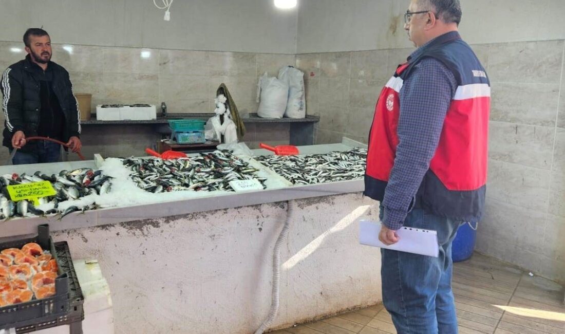 Kütahya’nın Emet ilçesinde balıkçılara yönelik denetim gerçekleştirildi. Emet İlçe Tarım