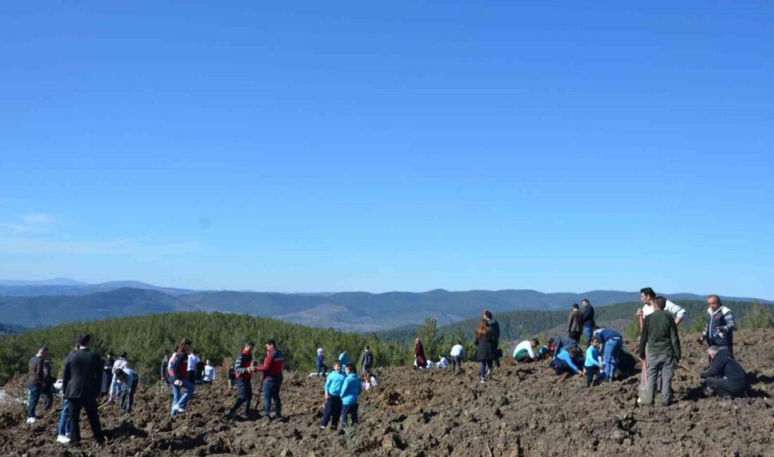 Kütahya’nın Emet ilçesinde düzenlenen zeytin dikme etkinliğinde yüzlerce fidan toprakla
