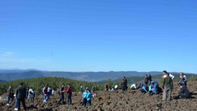 Kütahya’nın Emet ilçesinde düzenlenen zeytin dikme etkinliğinde yüzlerce fidan toprakla