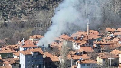 Kütahya’nın Domaniç ilçesine bağlı Sarıot köyünde çıkan yangında bir ev
