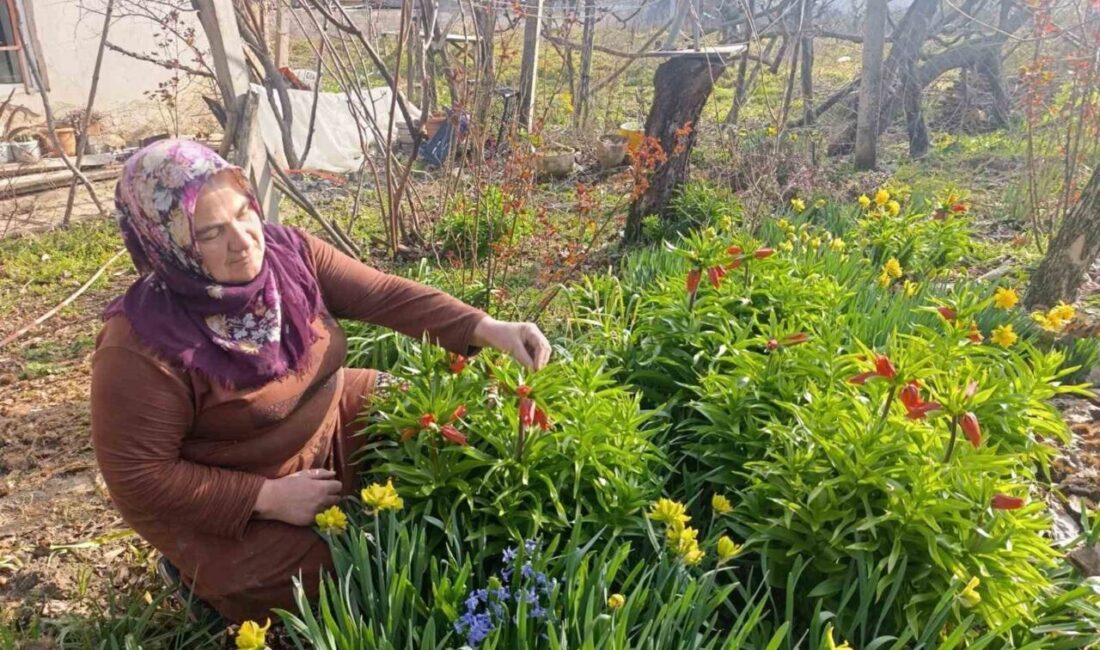 Kütahya’nın Simav ilçesine bağlı Demirciköy beldesi Öreğler Mahallesi, her yıl