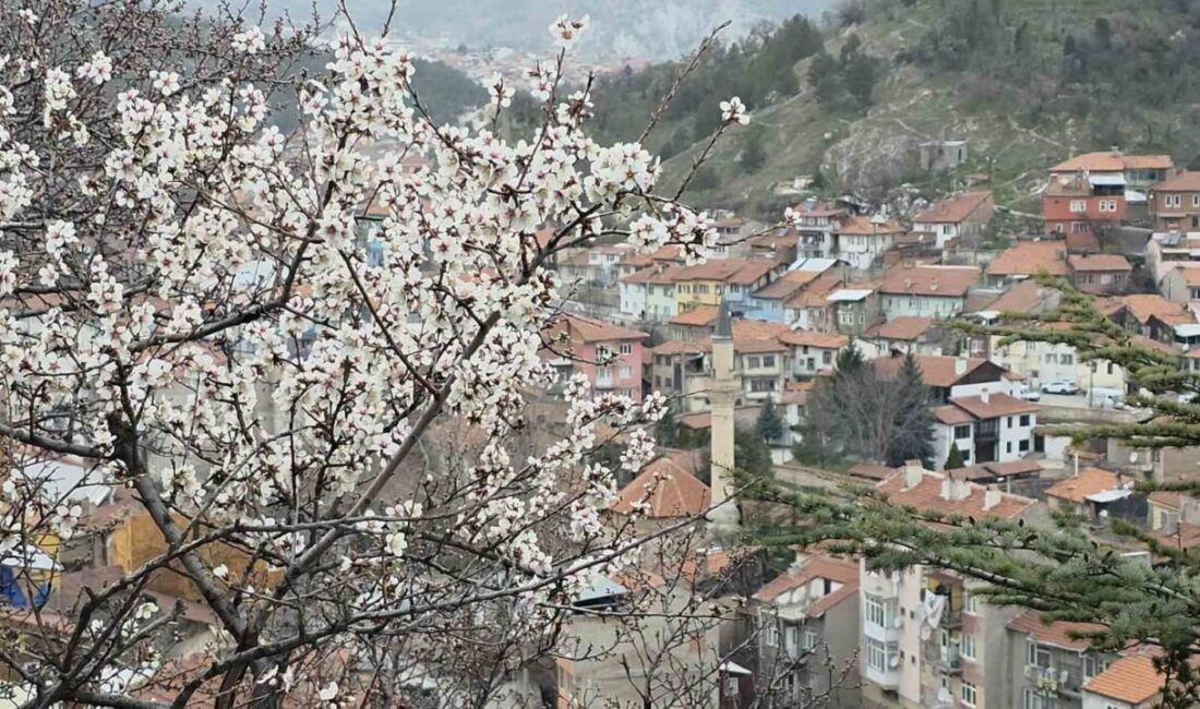 Kütahya’da havaların ısınmasıyla birlikte doğa uyanmaya başladı. Kentte özellikle Hıdırlık