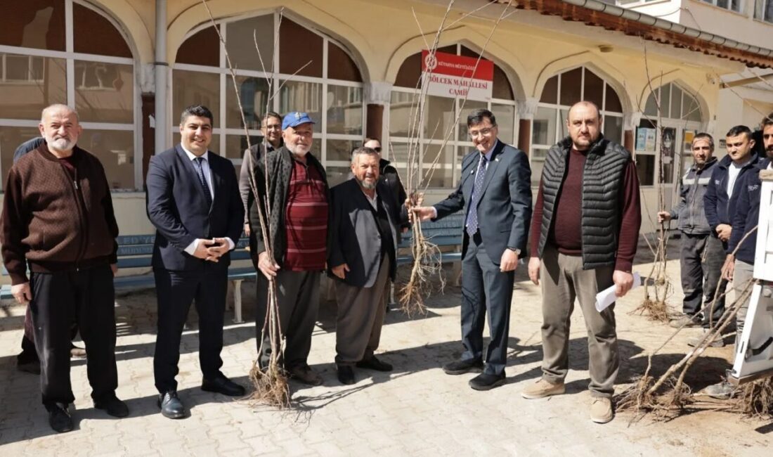 Kütahya Belediyesi tarafından Park ve Bahçeler Müdürlüğü koordinasyonunda düzenlenen kiraz