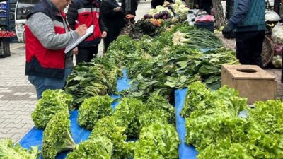 Kütahya’nın Simav ilçesinde, İlçe Tarım ve Orman Müdürlüğü ekipleri tarafından