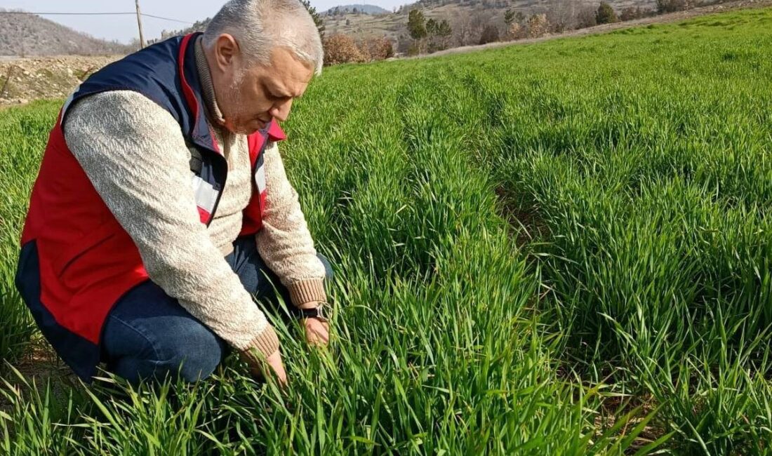 Kütahya’nın Simav ilçesine bağlı Yemişli ve Yeşildere köylerinde, İstatistik Bilgi