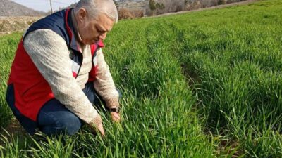 Kütahya’nın Simav ilçesine bağlı Yemişli ve Yeşildere köylerinde, İstatistik Bilgi