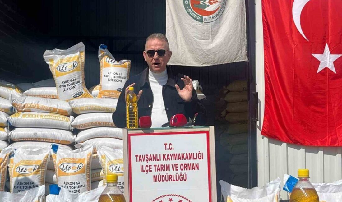 Kütahya’nın Tavşanlı ilçesinde, nadasa bırakılan ve yaban domuzu zararı nedeniyle