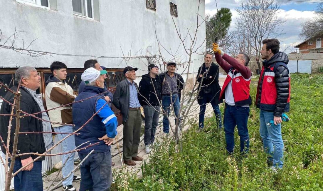 Kütahya’nın Tavşanlı ilçesinde üreticilere yönelik meyve ağaçlarında budama eğitimi düzenlendi.