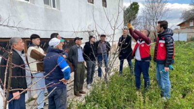 Kütahya’nın Tavşanlı ilçesinde üreticilere yönelik meyve ağaçlarında budama eğitimi düzenlendi.