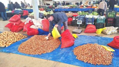 Kütahya’nın Hisarcık ilçesinde geçen yıl kilosu 150 TL’den satılan tohumluk